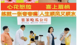 吃瓜广告视频,一场视觉盛宴背后的营销策略