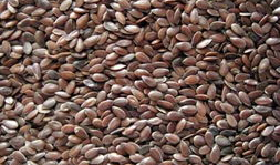 岑岑吃瓜 omega,Omega视角下的娱乐圈风云录