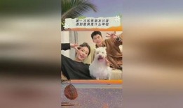 抖音小游戏娱乐吃瓜,娱乐吃瓜，轻松畅玩新体验