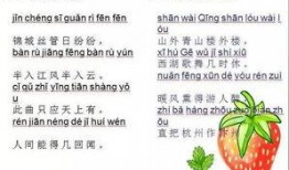 娱乐吃瓜图片图文并茂,明星幕后吃瓜瞬间，图解八卦风云