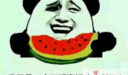 你不吃瓜谁吃瓜,不吃瓜谁吃瓜，揭秘网络热点背后的真相