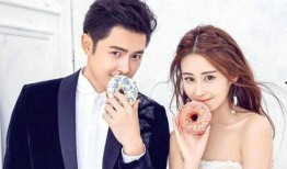 吃瓜娱乐圈模范夫妻婚变