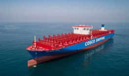 南通航运吃瓜,瓜分市场，乘风破浪的航运新篇章