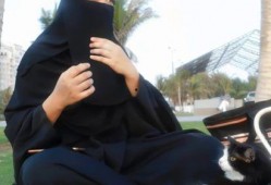 搞笑娱乐吃瓜君是谁,网络红人的崛起之路