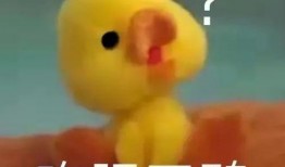 娱乐吃瓜酱鸭鸭