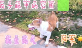 每日日常吃瓜,揭秘娱乐圈新鲜事