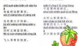 娱乐吃瓜图片图文并茂,明星幕后吃瓜瞬间，图解八卦风云