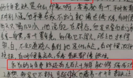 从吃瓜到吃人作文,社会现象的反思与警示