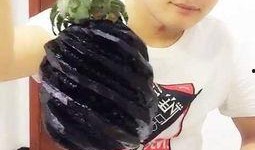 娱乐吃瓜酱胡说八道,揭秘娱乐圈背后的八卦风云