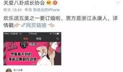 吃瓜系统娱乐圈小说,娱乐圈幕后风云录