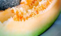 你可以吃蜜瓜吗,你适合享用吗？