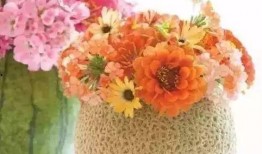 娱乐吃瓜酱花瓶视频,花瓶视频背后的故事揭秘