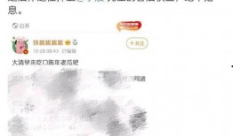 娱乐吃瓜账号是什么名字,揭秘娱乐圈幕后故事，带你领略明星幕后生活