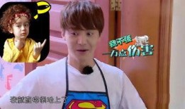 娱乐吃瓜酱东北人,娱乐吃瓜酱的趣味人生