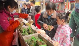 娱乐吃瓜场湛江,吃瓜群众的热议焦点