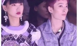 娱乐圈吃瓜搞笑视频合集