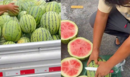 小杨哥吃生瓜还是熟瓜好,小杨哥的选择智慧