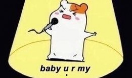 娱乐吃瓜酱纸团,揭秘娱乐圈幕后故事