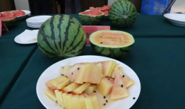 天天带你吃瓜,揭秘娱乐圈那些不为人知的幕后故事