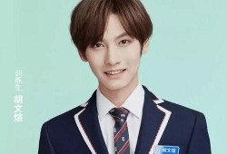 娱乐吃瓜姐妹胡文煊是谁,胡文煊的崛起之路