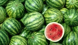 吃瓜娱乐间的作品在哪看,吃瓜娱乐间热门作品观看指南