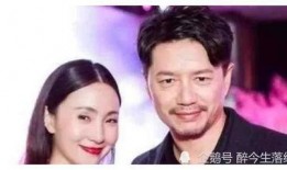 娱乐圈明星吃瓜博主,揭秘明星背后的故事与真相